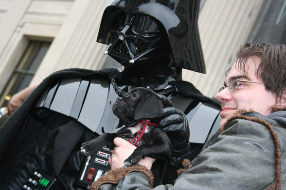 Darth Vader Puppy